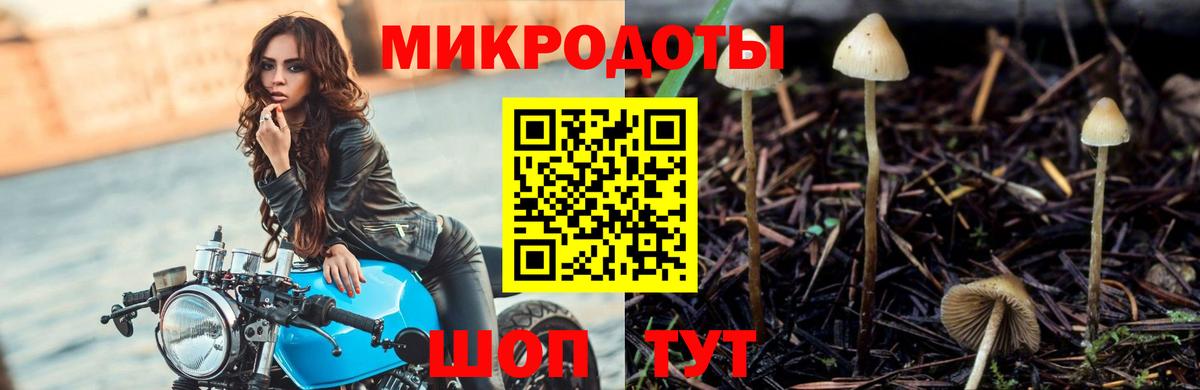 Тулун  Псилоцибиновые грибы прущие грибы  Вход с VPN 